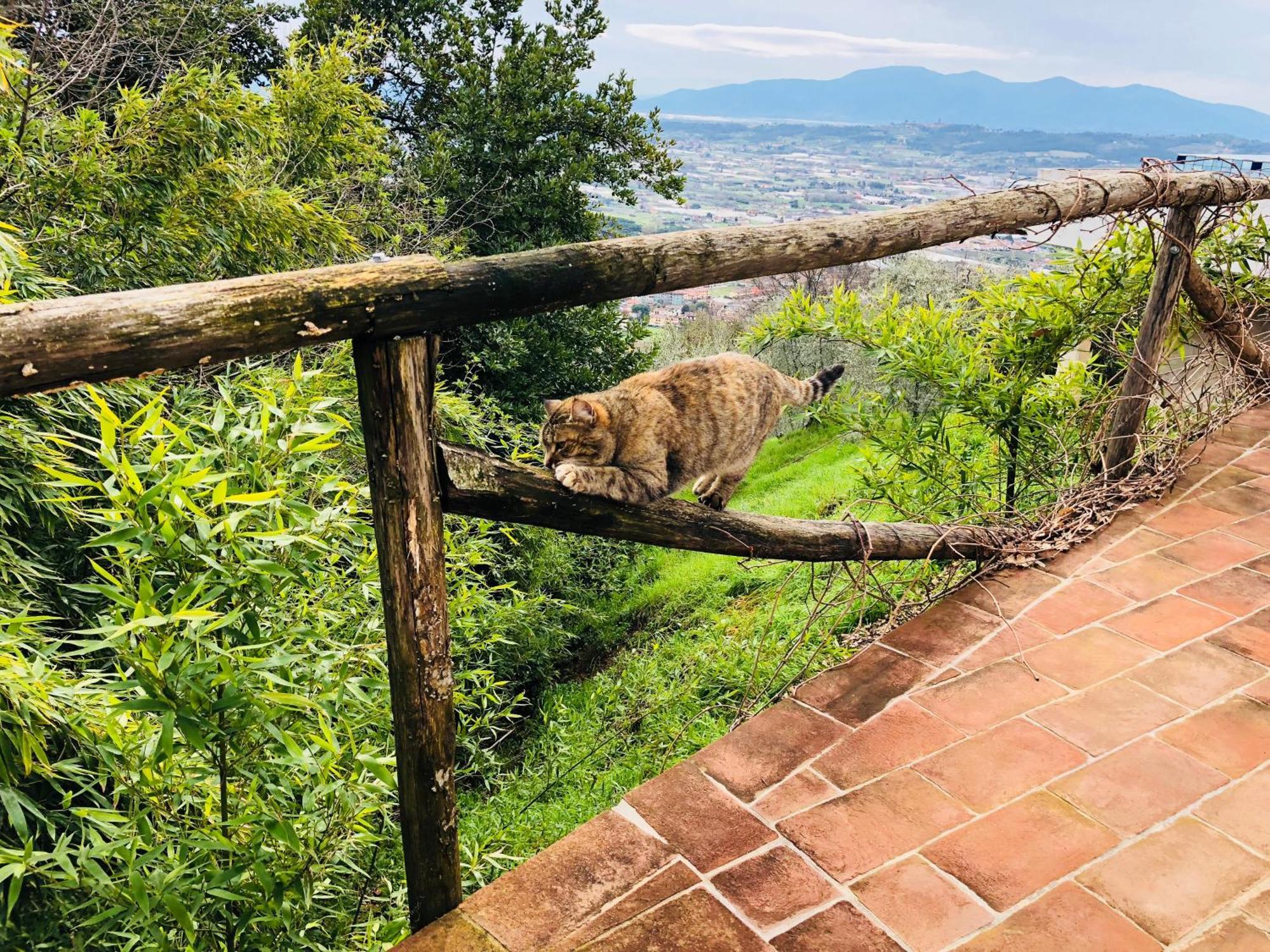 Hotel Casale 3 Danesi Colle Di Buggiano Zewnętrze zdjęcie